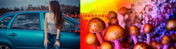 дурь Касимов